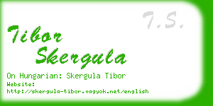 tibor skergula business card